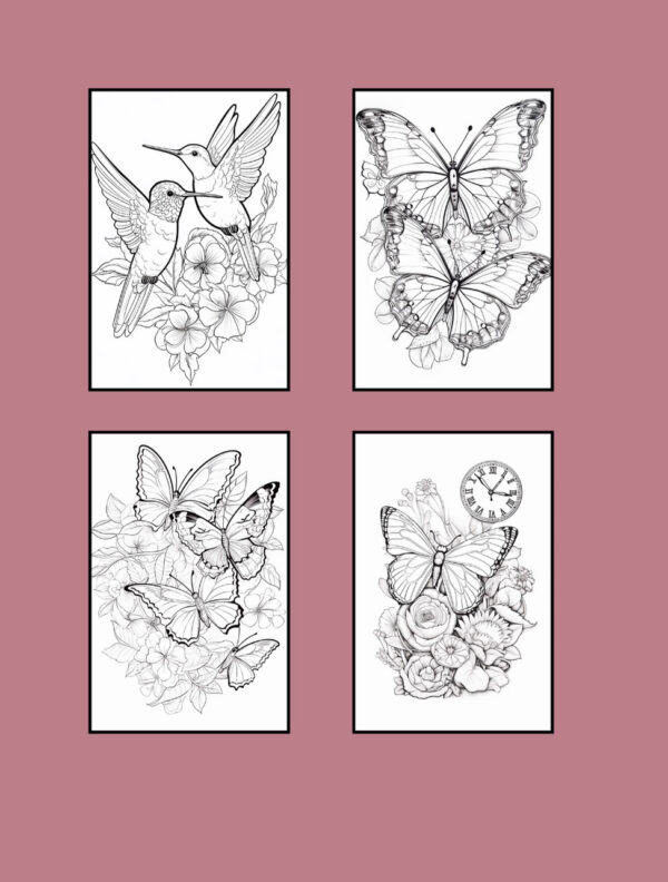 Butterflies and Hummingbirds Coloring Book