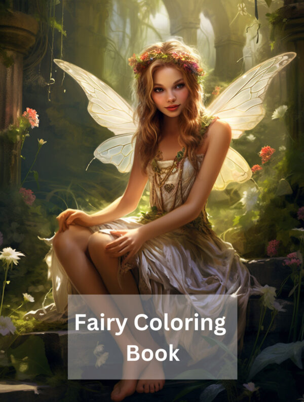 Fairy Coloring Book